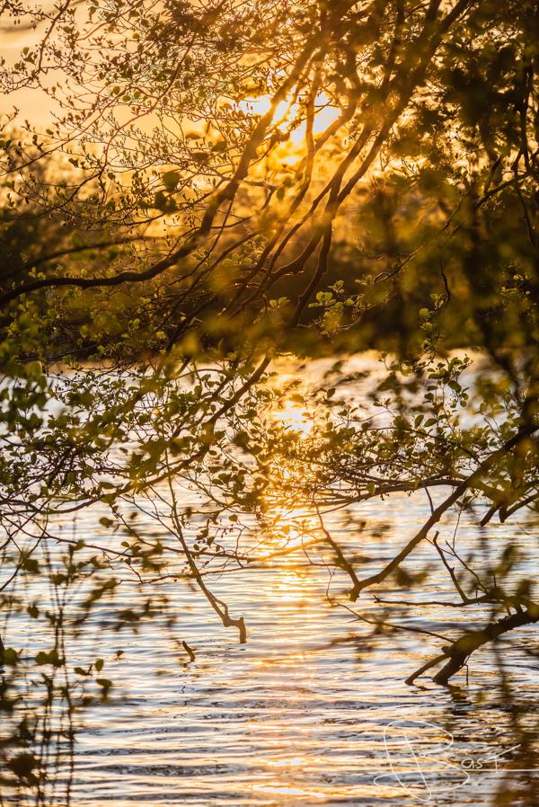 Foto van de zonsondergang